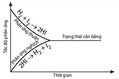 Khái niệm về cân bằng hóa học - Hóa 11 mới