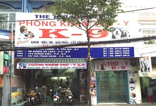 Top 4 phòng khám thú y tại Quận 4