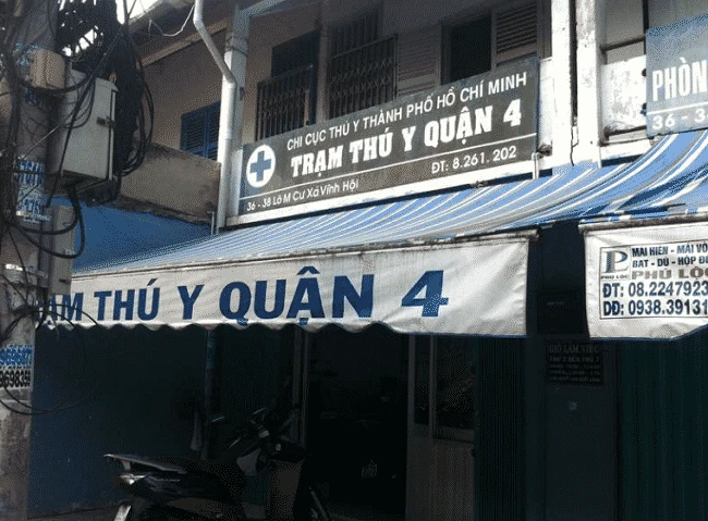 Top 4 phòng khám thú y tại Quận 4