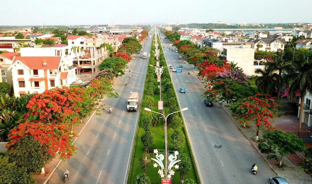 Hải Phòng có bao nhiêu quận huyện?