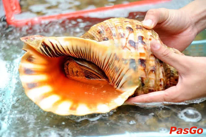 Khám Phá Quán Ăn Quanh Đây Tại Hà Nội
