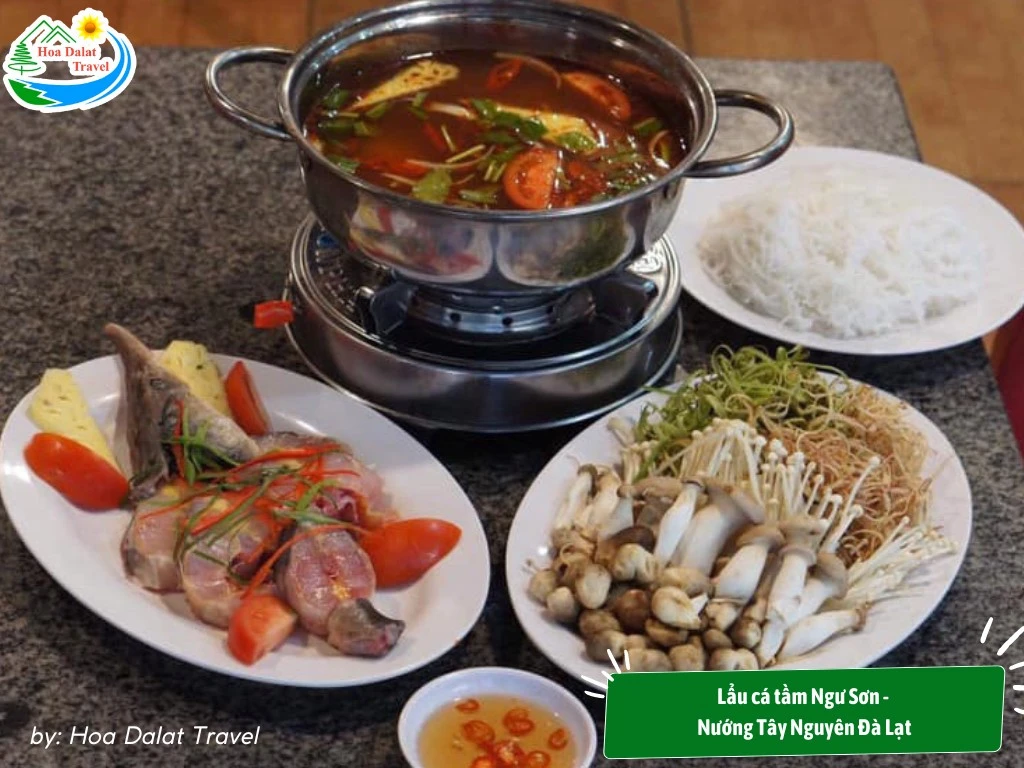 Top 10 Quán Nhậu Đà Lạt Ngon Nhất, Chất Lượng, Chil Chill, Đắt Khách