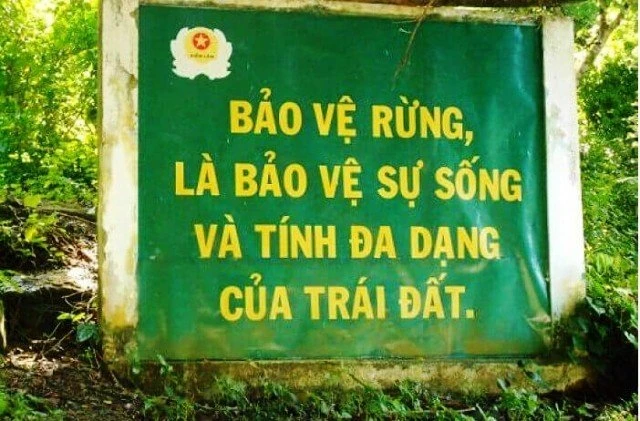 Biện pháp nào quan trọng nhất để bảo vệ đất đồi núi?