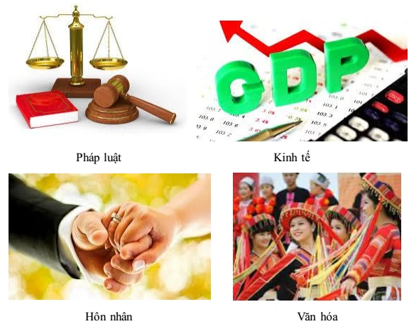 Sinh học 9 Bài 48: Quần thể người