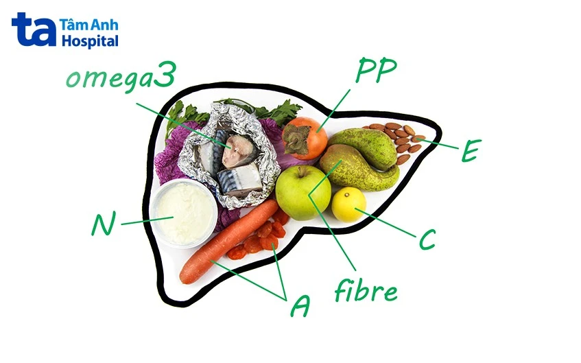 Hệ tiêu hóa gồm những cơ quan nào? Vai trò và chức năng