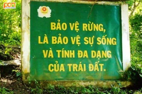 Rừng là gì? Vai trò của rừng đối với tự nhiên và con người