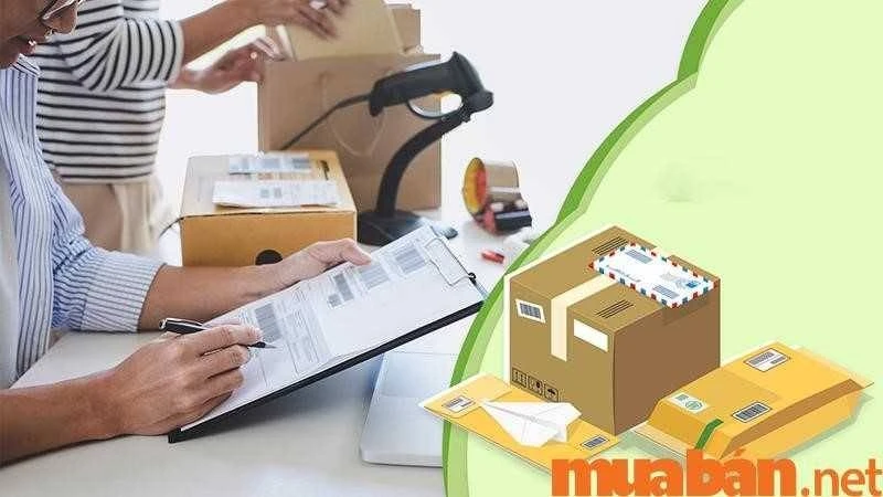 Tìm Việc Làm Công Nhân Đóng Gói Lương Cao, Đi Làm Ngay T12/2024