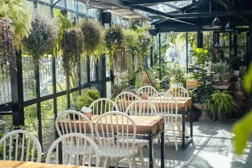 50+ quán cafe view đẹp, chụp hình sống ảo ở Hà Nội