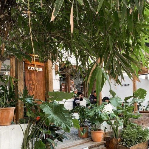 50+ quán cafe view đẹp, chụp hình sống ảo ở Hà Nội