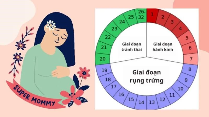 Dựa vào 4 ngày quan hệ có thai không và biện pháp tránh thai