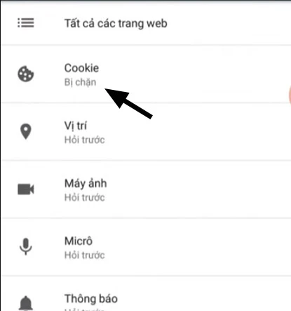 Hiểu về bật cookie trong Liên Quân Mobile