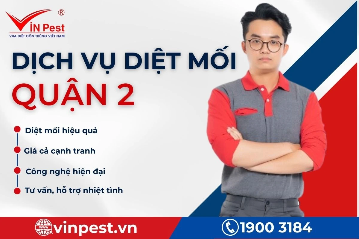 Dịch vụ diệt mối Quận 2 uy tín, chất lượng