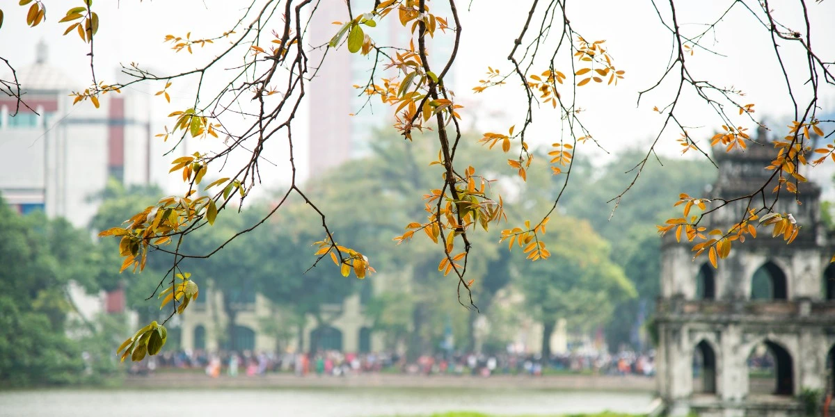 Diện tích Hà Nội là bao nhiêu? Diện tích các quận huyện Hà Nội