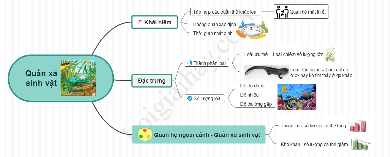 Lý thuyết Quần xã sinh vật Sinh học 9</>