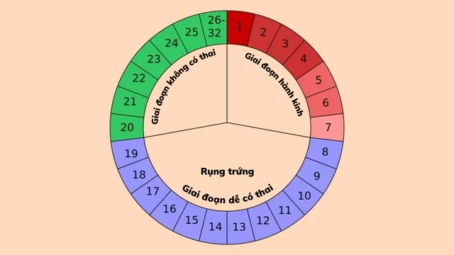 Các cách quan hệ để sinh con gái - Cha mẹ không thể bỏ qua