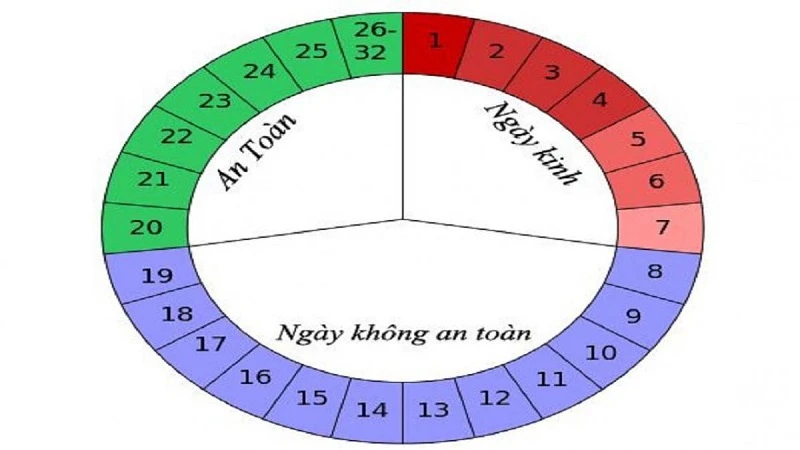 Cách dựa vào chu kỳ kinh nguyệt để tính ngày tránh thai nhanh mà dễ