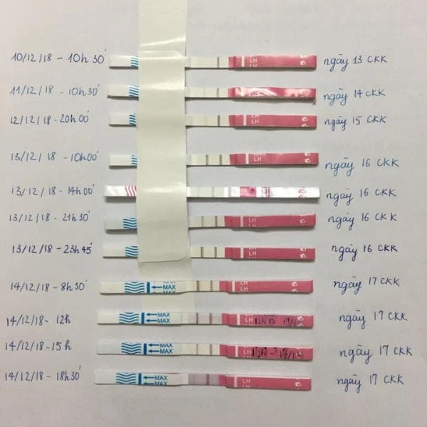 Cách sử dụng que thử rụng trứng sinh con trai