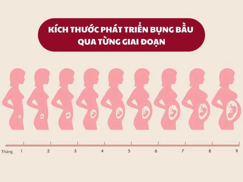 Nhìn bụng biết có thai như thế nào? Cách nhận biết có thai tại nhà