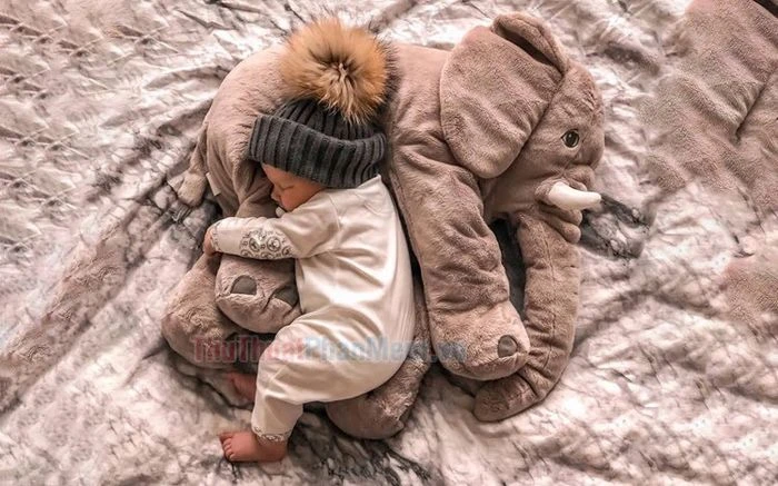Hình ảnh bé trai dễ thương mang lại niềm vui sống