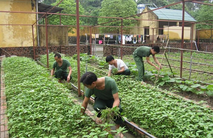 Bộ sưu tập hình ảnh chú bộ đội - Những khoảnh khắc tuyệt vời nhất về anh hùng