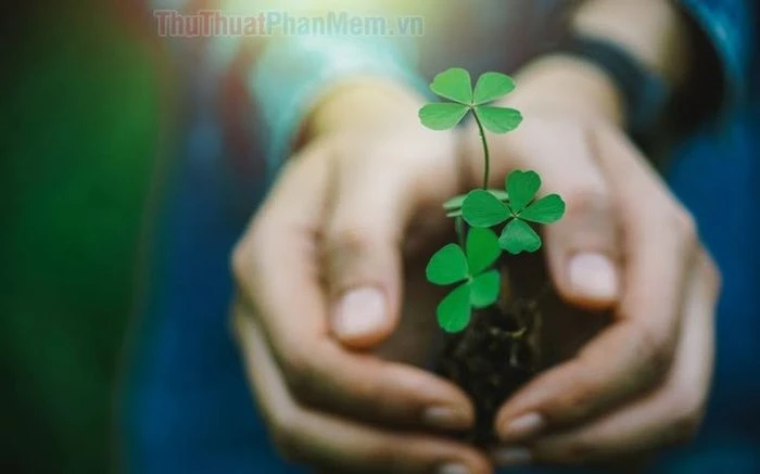 Hình ảnh may mắn trong cuộc sống và ý nghĩa tích cực