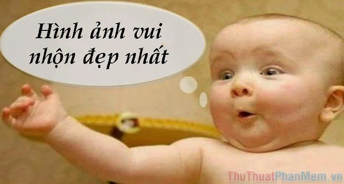 Hình Ảnh Vui Nhộn: Giải Pháp Cho Tâm Trạng Tích Cực