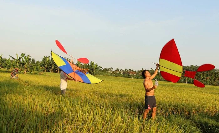 Bức tranh tuyệt vời về vẻ đẹp của cánh đồng lúa - Tổng hợp những hình ảnh đẹp nhất về cánh đồng lúa