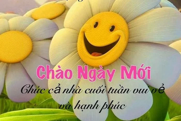 50 hình ảnh chúc ngày mới cho người yêu thêm ngọt ngào, lãng mạn