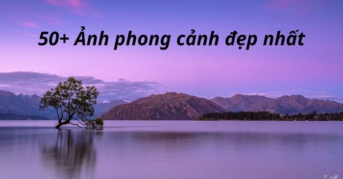 Khám Phá Hình Ảnh Phong Cảnh Đẹp Gắn Kết Tâm Hồn