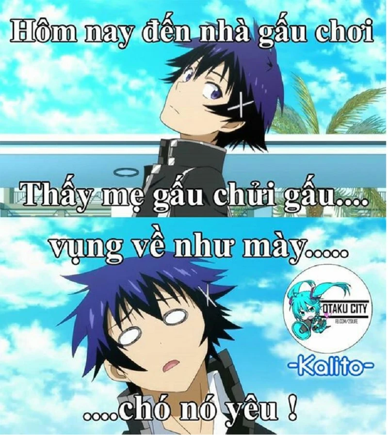 Ảnh anime meme hài hước