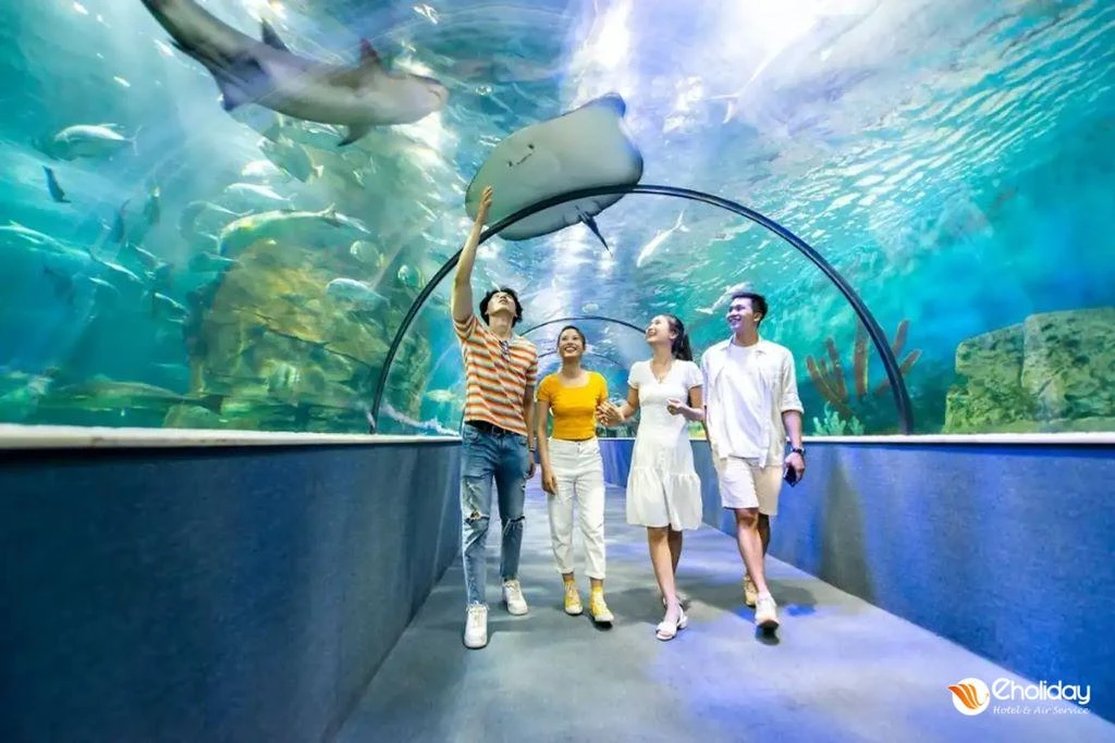 Vé VINKE và Thuỷ cung Aquarium Times City Hà Nội