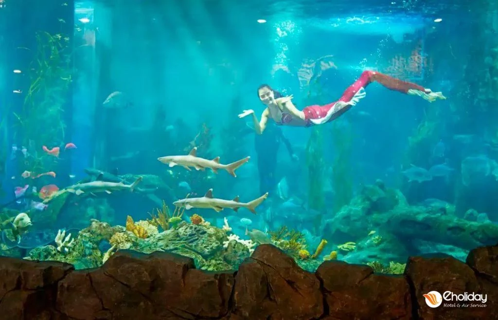 Vé VINKE và Thuỷ cung Aquarium Times City Hà Nội