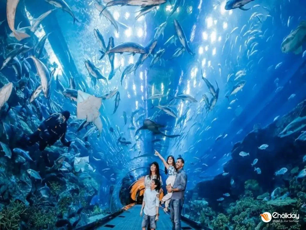 Vé VINKE và Thuỷ cung Aquarium Times City Hà Nội