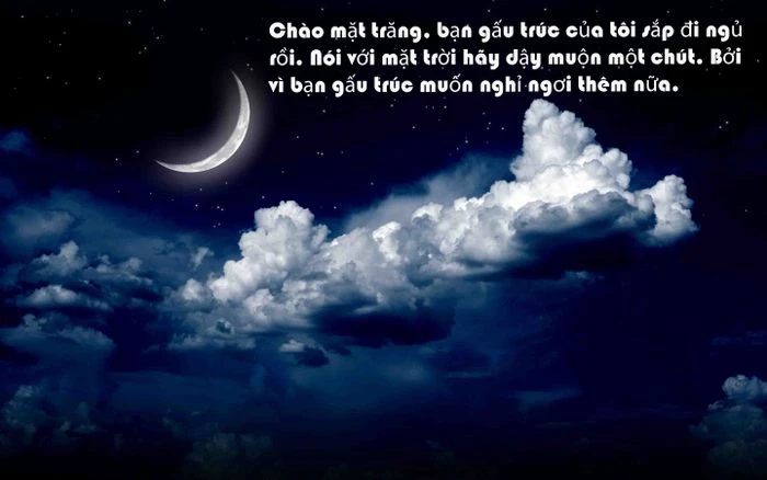 Bộ sưu tập hình ảnh chúc ngủ ngon - Tổng hợp những bức ảnh chúc ngủ ngon đẹp nhất