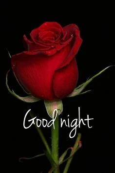 Khám Phá Hình Ảnh Good Night Đẹp Và Ý Nghĩa Ẩn Sau