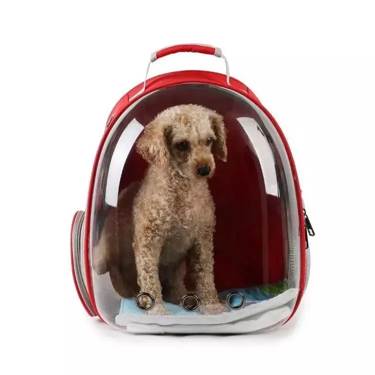 Lựa chọn balo cho chó Poodle phù hợp và tiện lợi