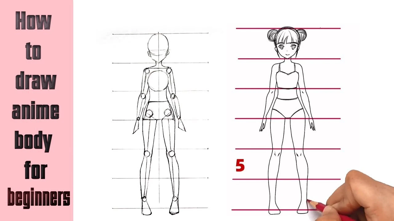 Hướng dẫn cách vẽ thân anime cho người mới bắt đầu