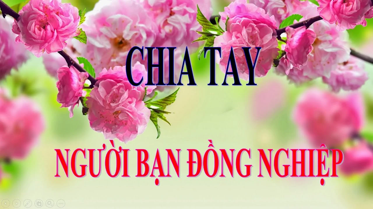 Những bài hát chia tay đồng nghiệp đầy kỷ niệm