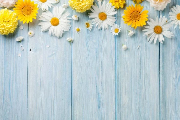 Khám Phá Hình Nền Background Đẹp Tạo Cảm Hứng Sáng Tạo