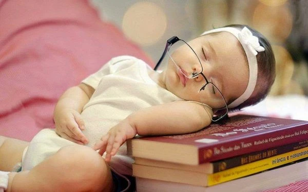Những Hình Ảnh Buồn Ngủ Hài Hước Khó Cưỡng