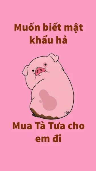 Khám Phá Hình Nền Hài Hước Bá Đạo Cho Điện Thoại