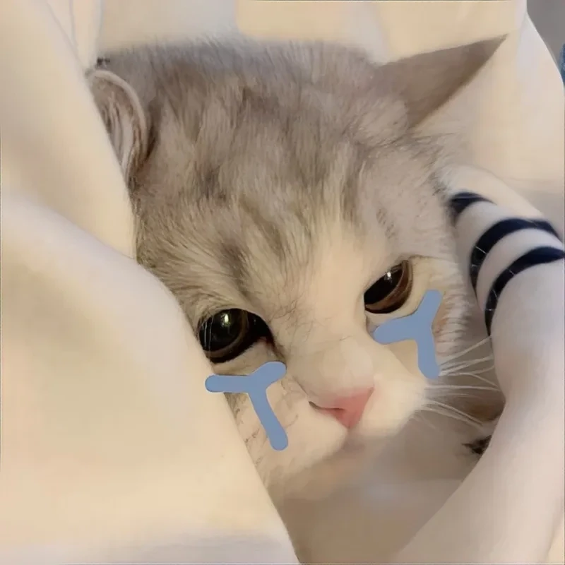 Mèo meme buồn và sức ảnh hưởng của cảm xúc trên mạng