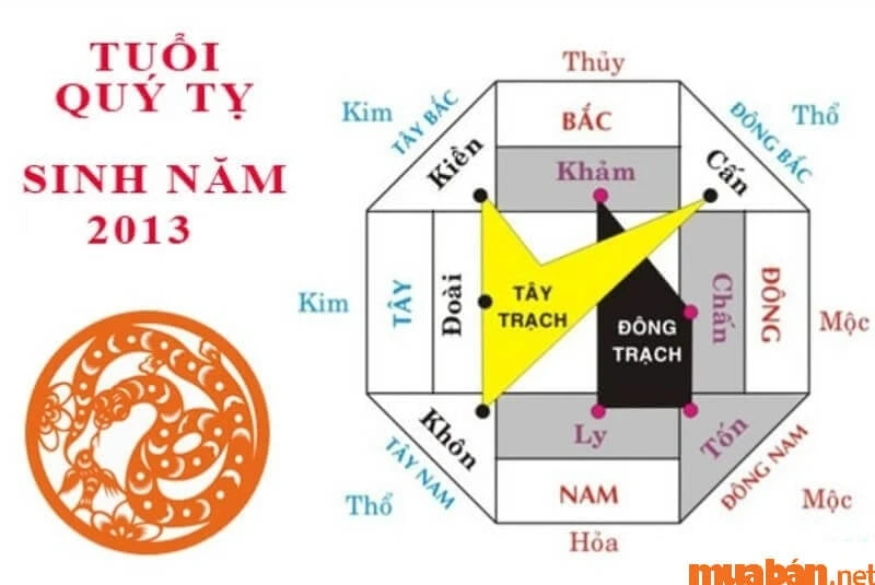 Quý Tỵ 2013 Mệnh Gì và Những Đặc Điểm Nổi Bật