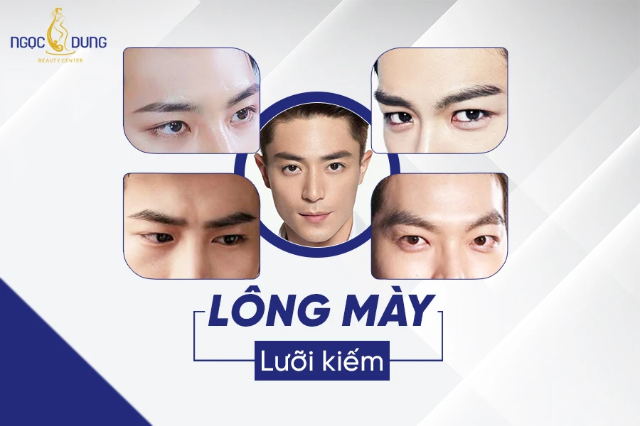 Khám Phá Lông Mày Kiếm Mi: Đặc Điểm và Ý Nghĩa