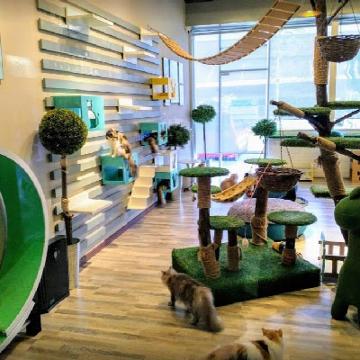 Khám Phá Pet Paradise Kolombong: Thiên Đường Cho Thú Cưng