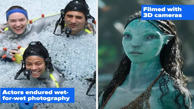 Avatar BTS: Khám Phá Hành Tinh Pandora Đầy Huyền Bí