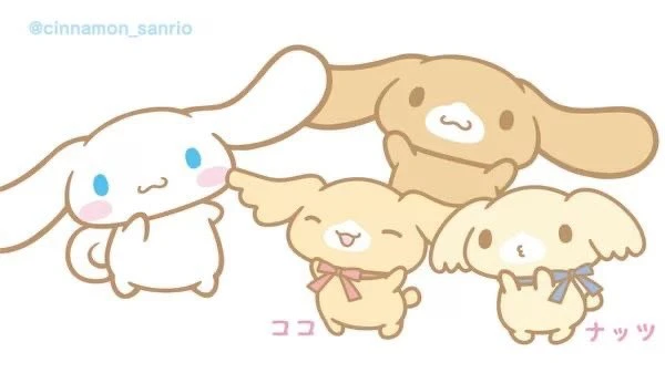 Câu Chuyện Về Anh Em Cinnamoroll Đầy Dễ Thương