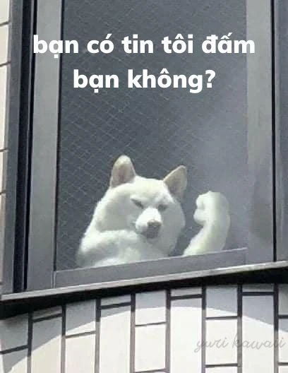 Khám Phá Chó Cơ Bắp Meme Trong Văn Hóa Trực Tuyến