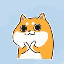 Khám Phá Zalo GIF: Nâng Tầm Giao Tiếp Đổi Mới