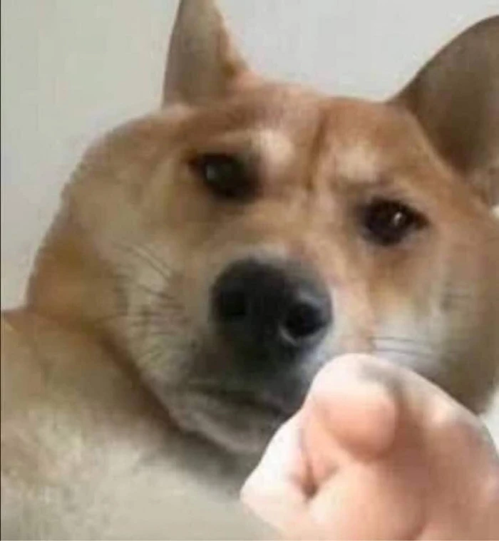 Khám Phá Hình Nền Chỉ Tay Meme Trong Thế Giới Mạng